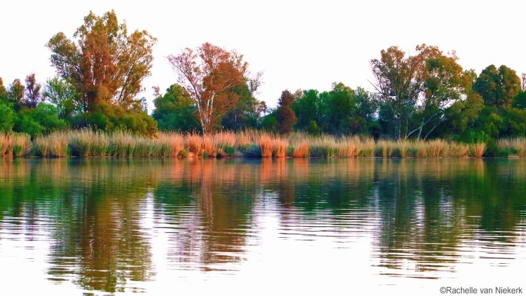 403 Rachelle van Niekerk (102211) Vaalharts_FF_Vaalrivier Christiana_BRONS