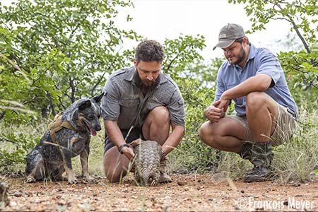 Pangolin-nuusbrief-Feb-2024-300pix