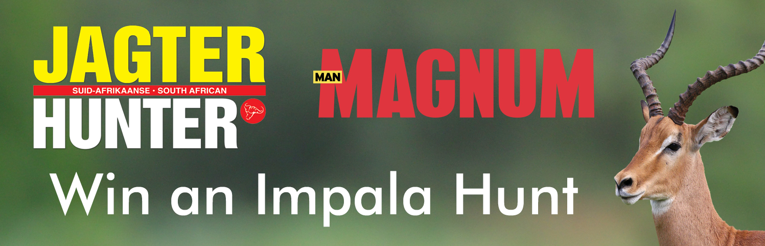 Banner Impala hunt